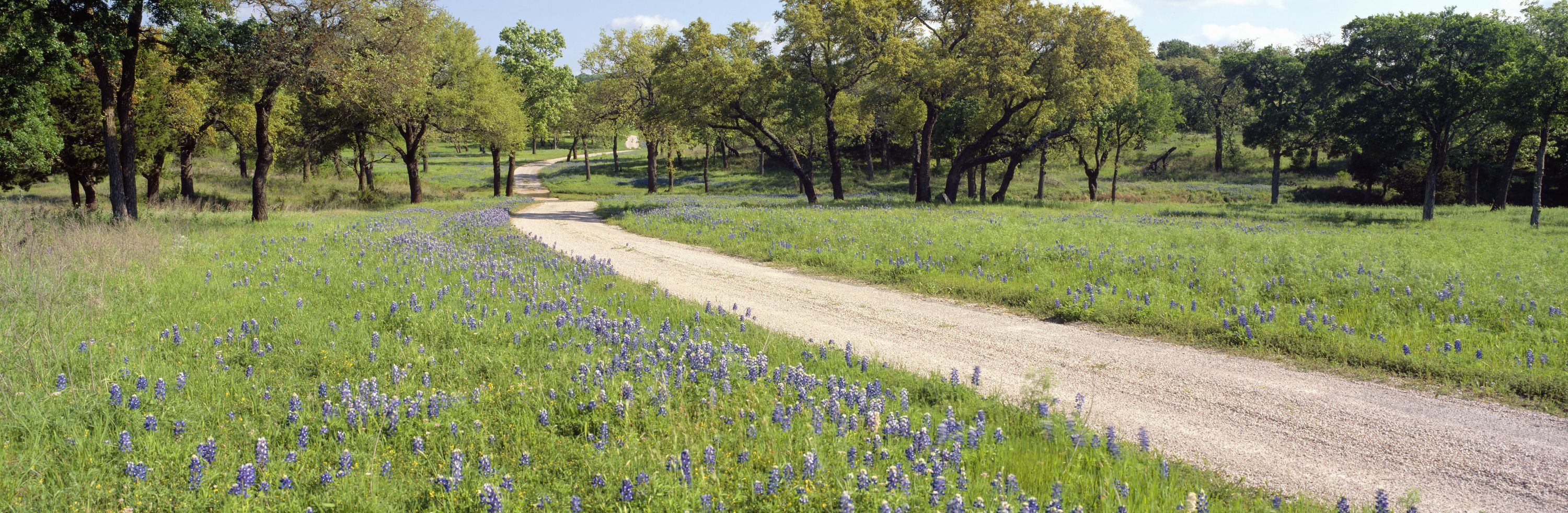 Kennedale, TX